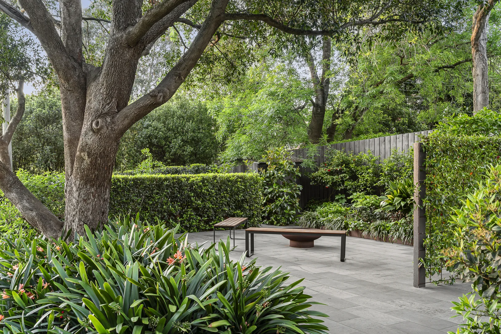 Additional image 14 of 1 Vincent Street, Surrey Hills VIC 3127