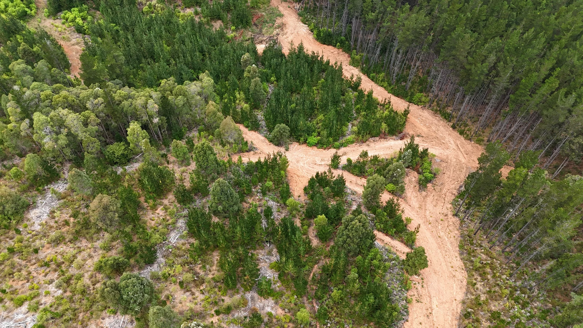 Additional image 2 of Lot 100 Brockman Highway, East Nannup WA 6275