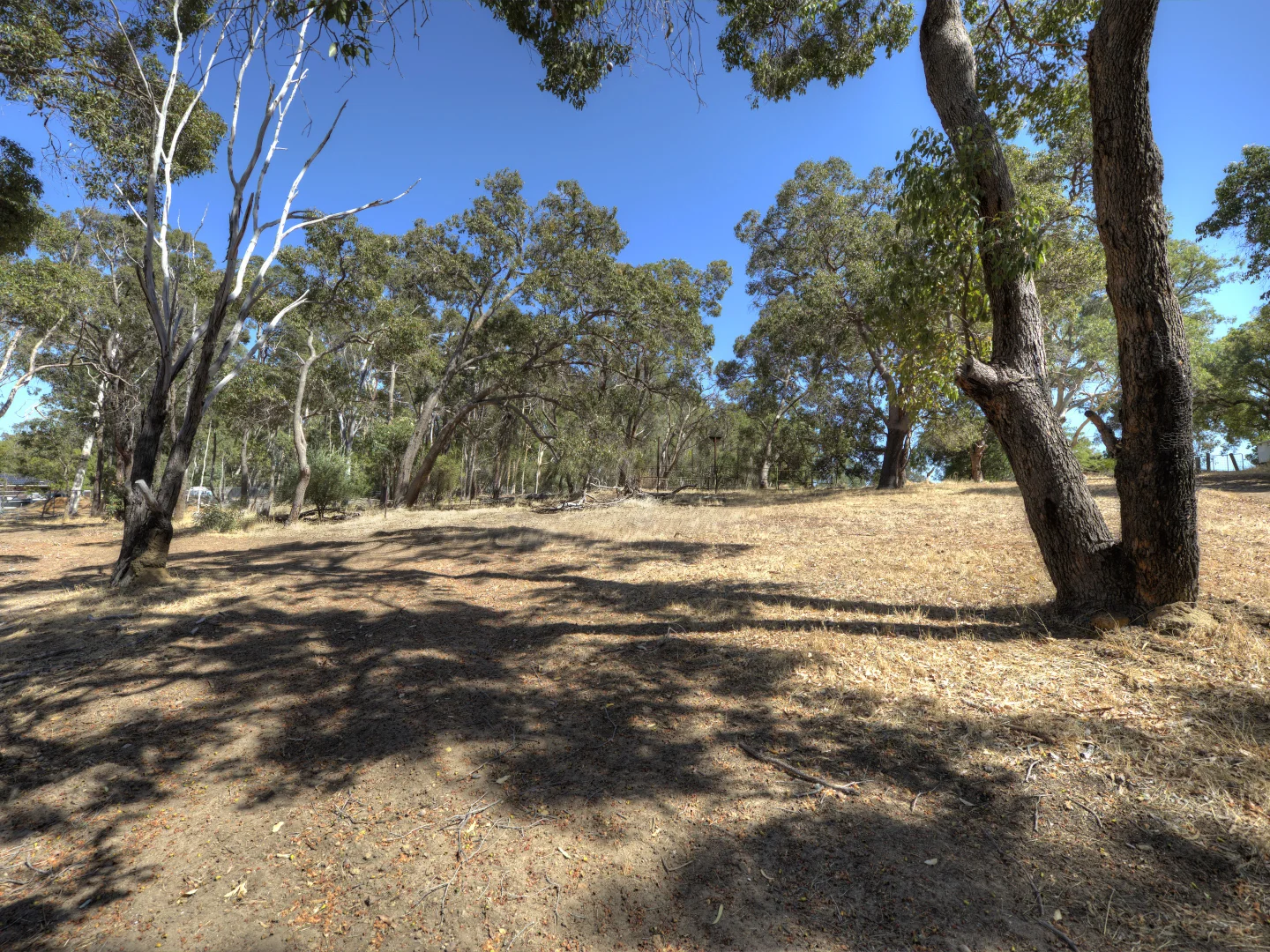 Additional image 12 of 174 Lewis Road, Forrestfield WA 6058