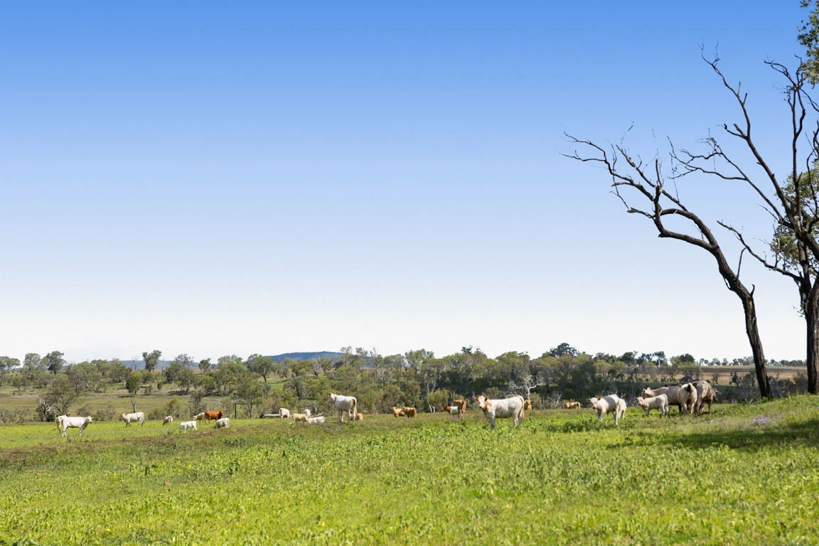 Additional image 4 of Lot 18 481 Cornford Rd, Southbrook QLD 4363