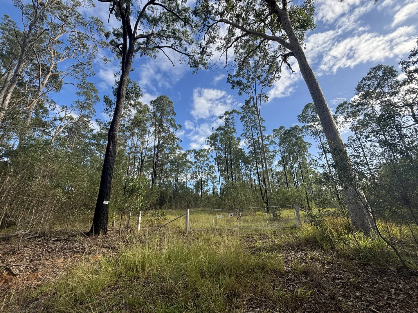 Additional image 4 of 580 Old Tenterfield Road, Camira NSW 2469