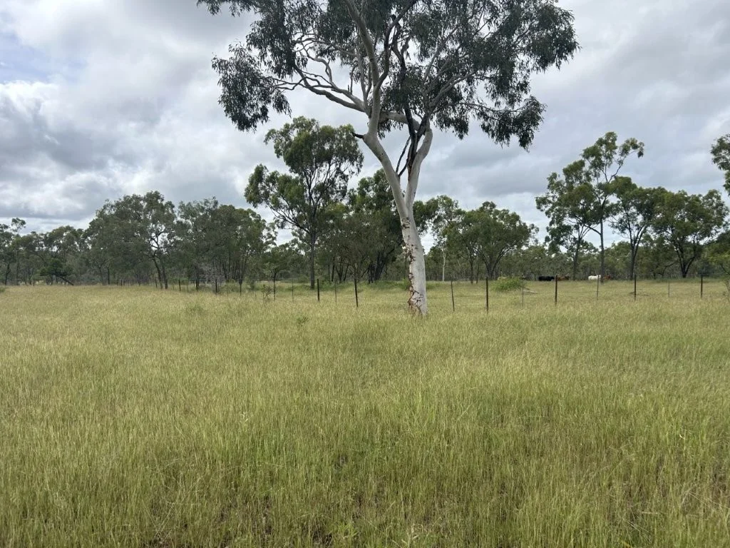 Additional image 15 of 240 Dalrymple Road, Breddan QLD 4820