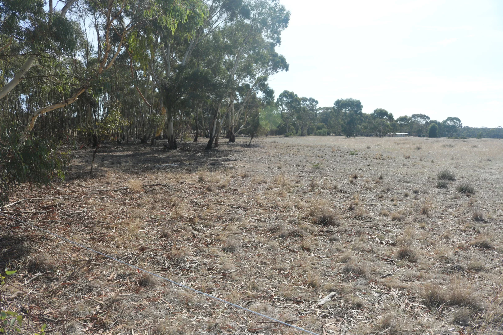 Old Boort Road, Woolshed Flat VIC 3518 photo 2