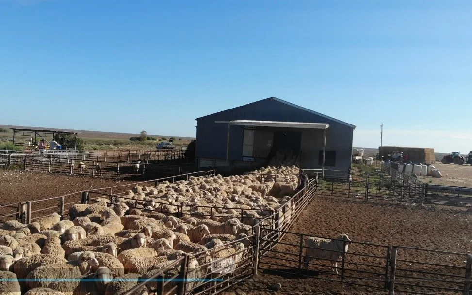 Additional image 2 of Madura Plains Station, Eucla WA 6443