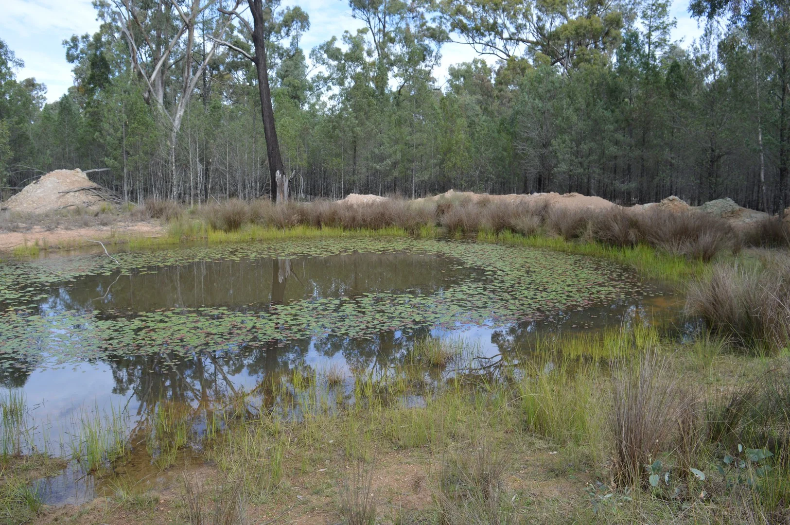 Lot 17 Tin Hut Road, Inglewood QLD 4387