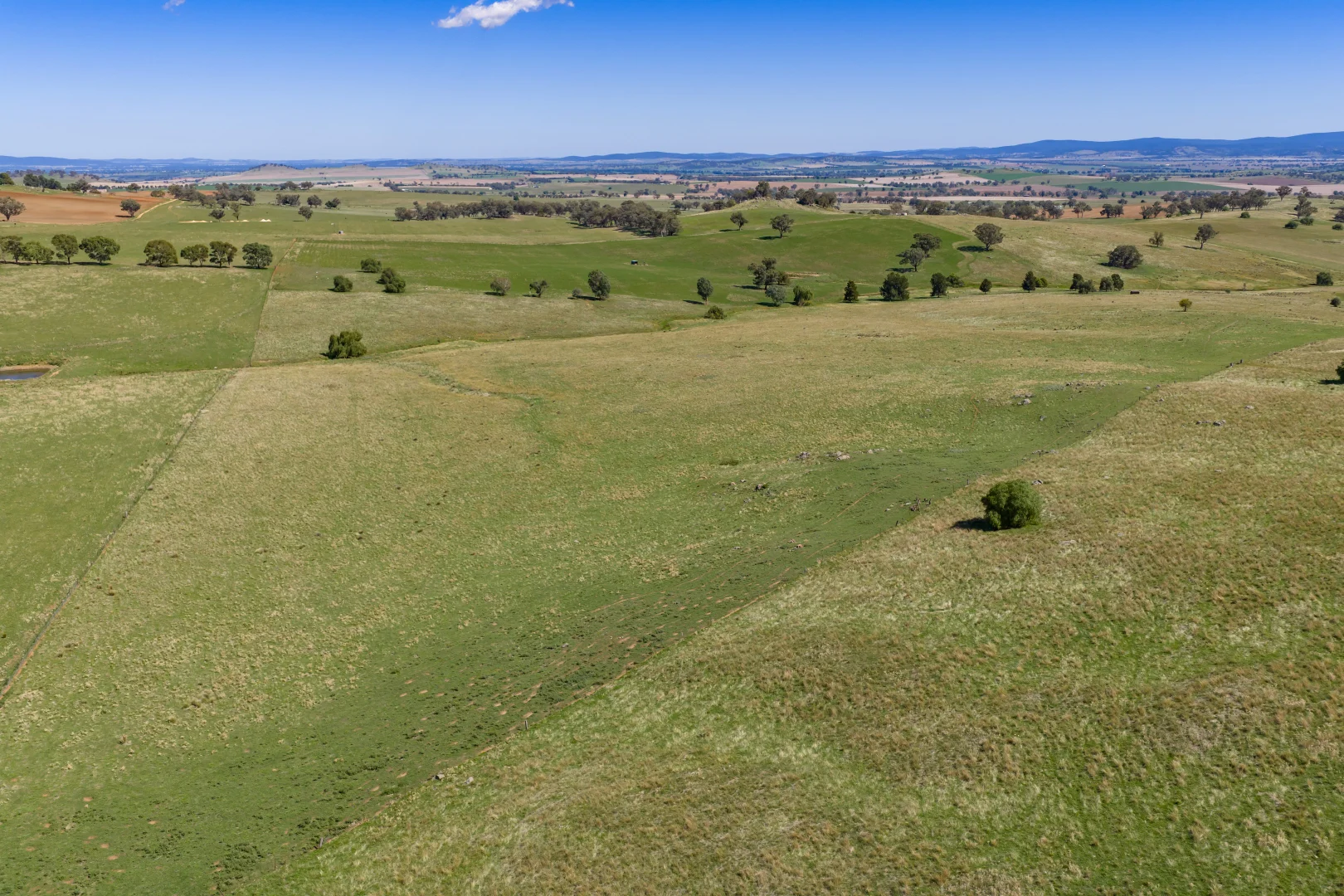 Additional image 3 of 306 Moola Road, Canowindra NSW 2804