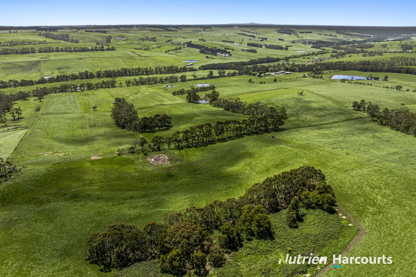 Additional image 4 of Part/880 Timboon - Colac Road, Simpson VIC 3266