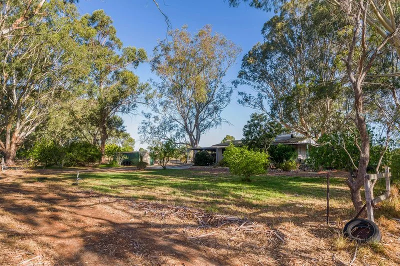17 Blackboy Court, Woodridge WA 6041