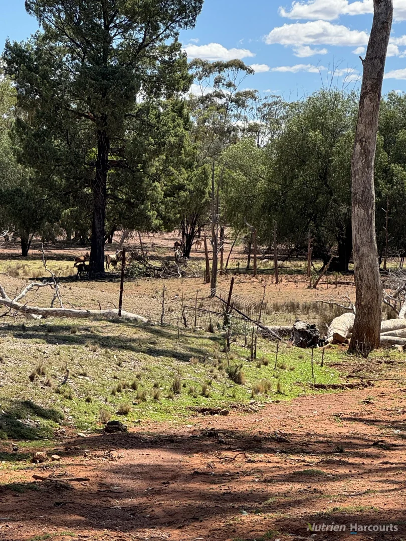 Additional image 4 of * Dutchmans Hutt, Hermidale NSW 2831