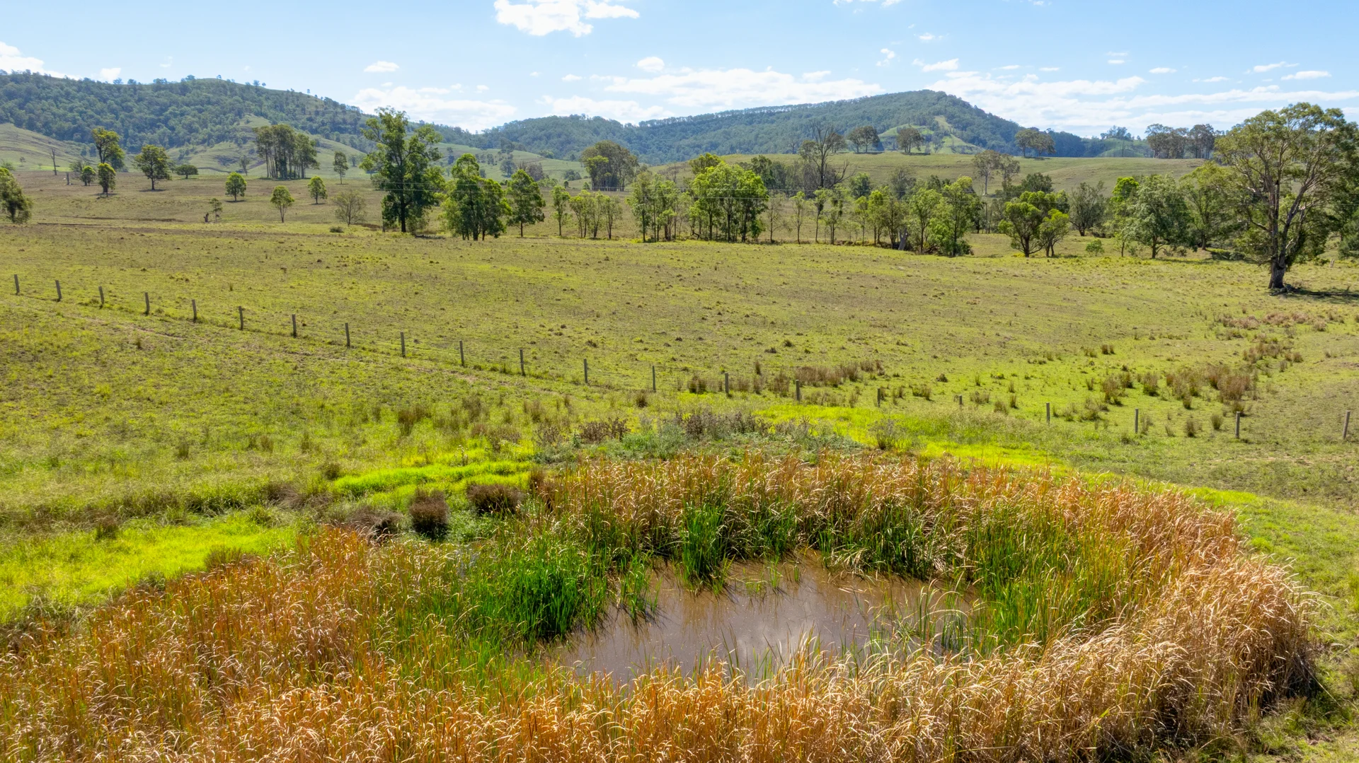 Additional image 20 of 1993 Glendonbrook Road, Gresford NSW 2311