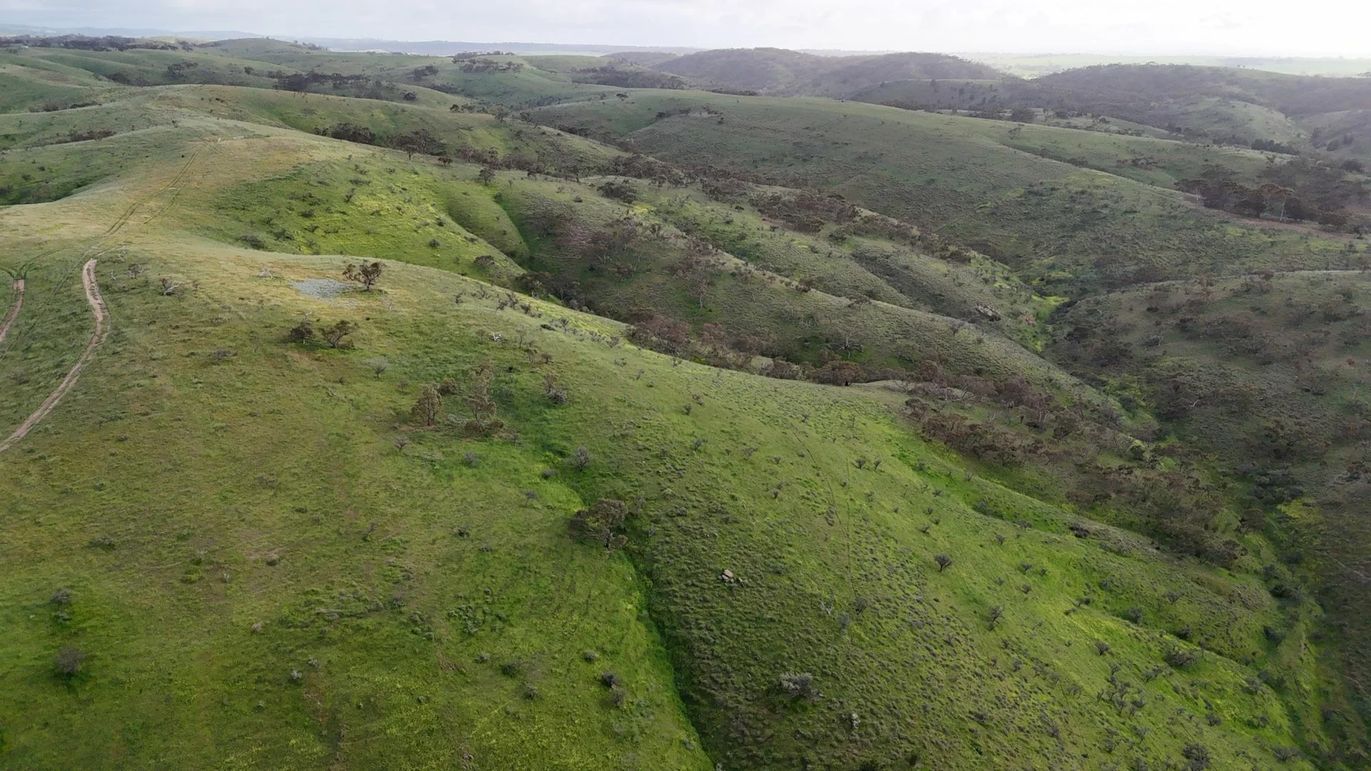 Additional image 9 of 'Crystal Valley' Talbots Road, Crystal Brook SA 5523