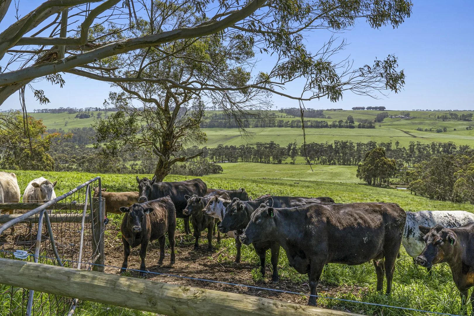 Additional image 15 of Part/880 Timboon - Colac Road, Simpson VIC 3266