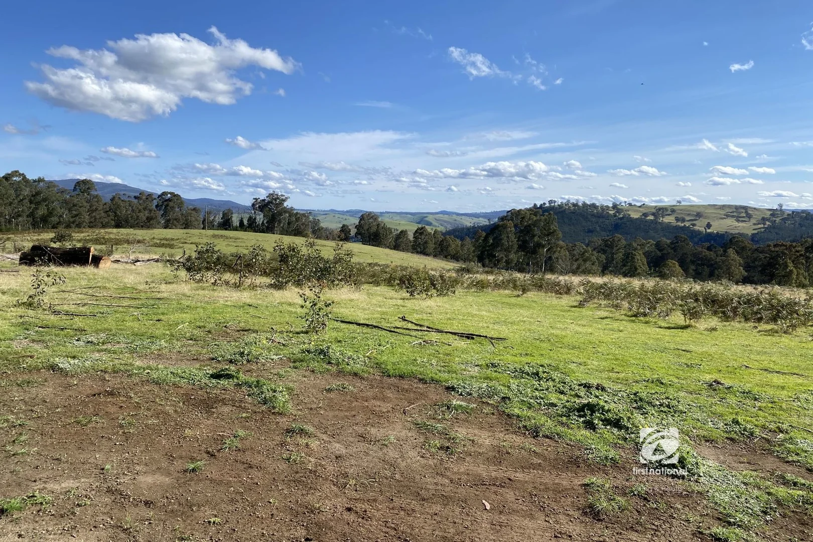 Additional image 2 of Lot 1/303 Basin Road, Buchan VIC 3885