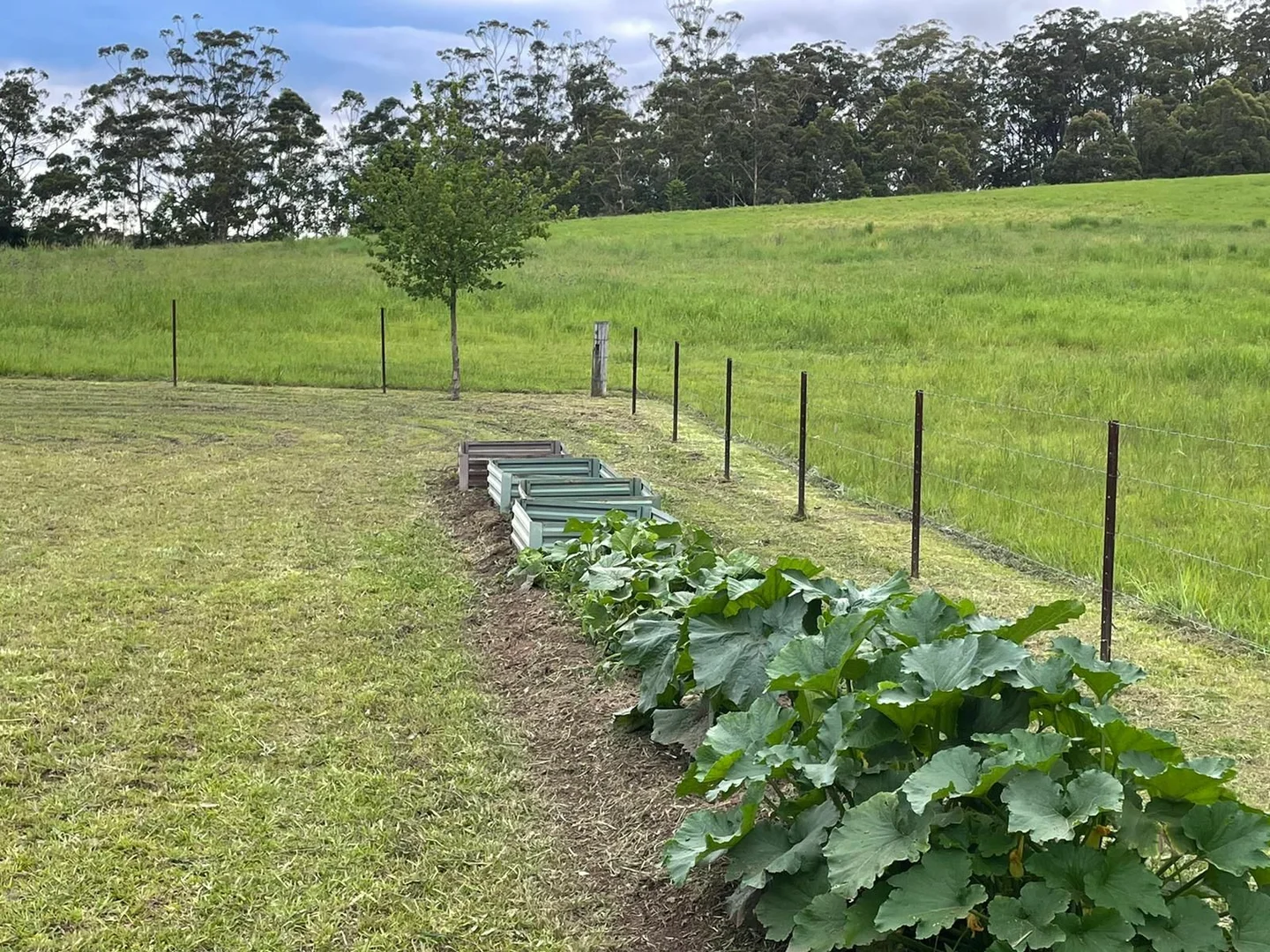 Additional image 12 of 45 Moores Lane, Eungai Creek NSW 2441