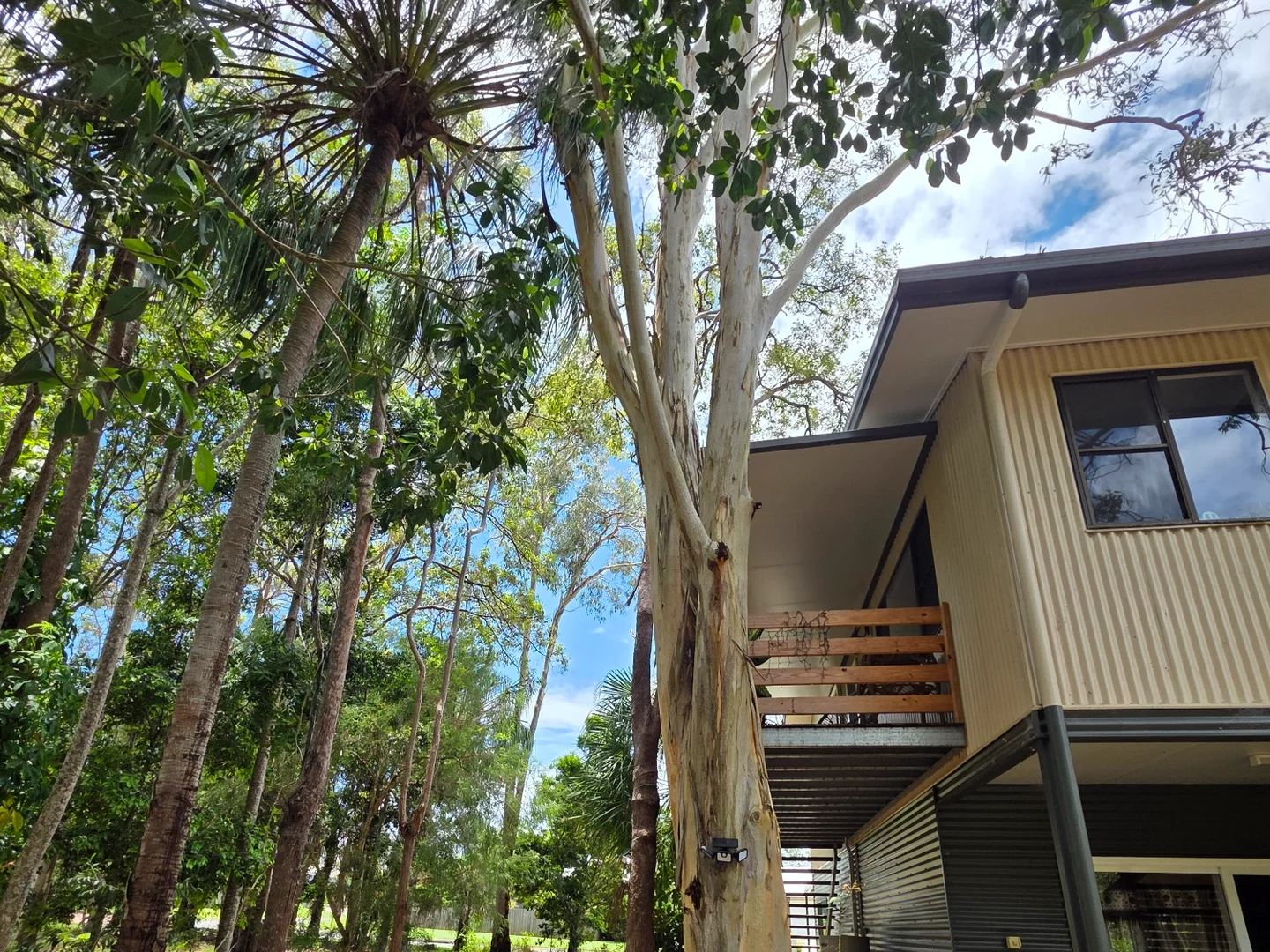 Additional image 16 of 12 Parraweena Court, Point Vernon QLD 4655