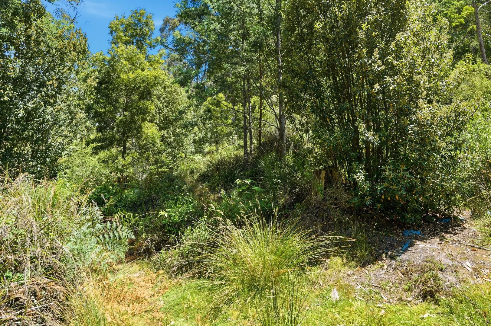 Additional image 2 of Lots 9 & 10 Esperance Coast Road, Dover TAS 7117