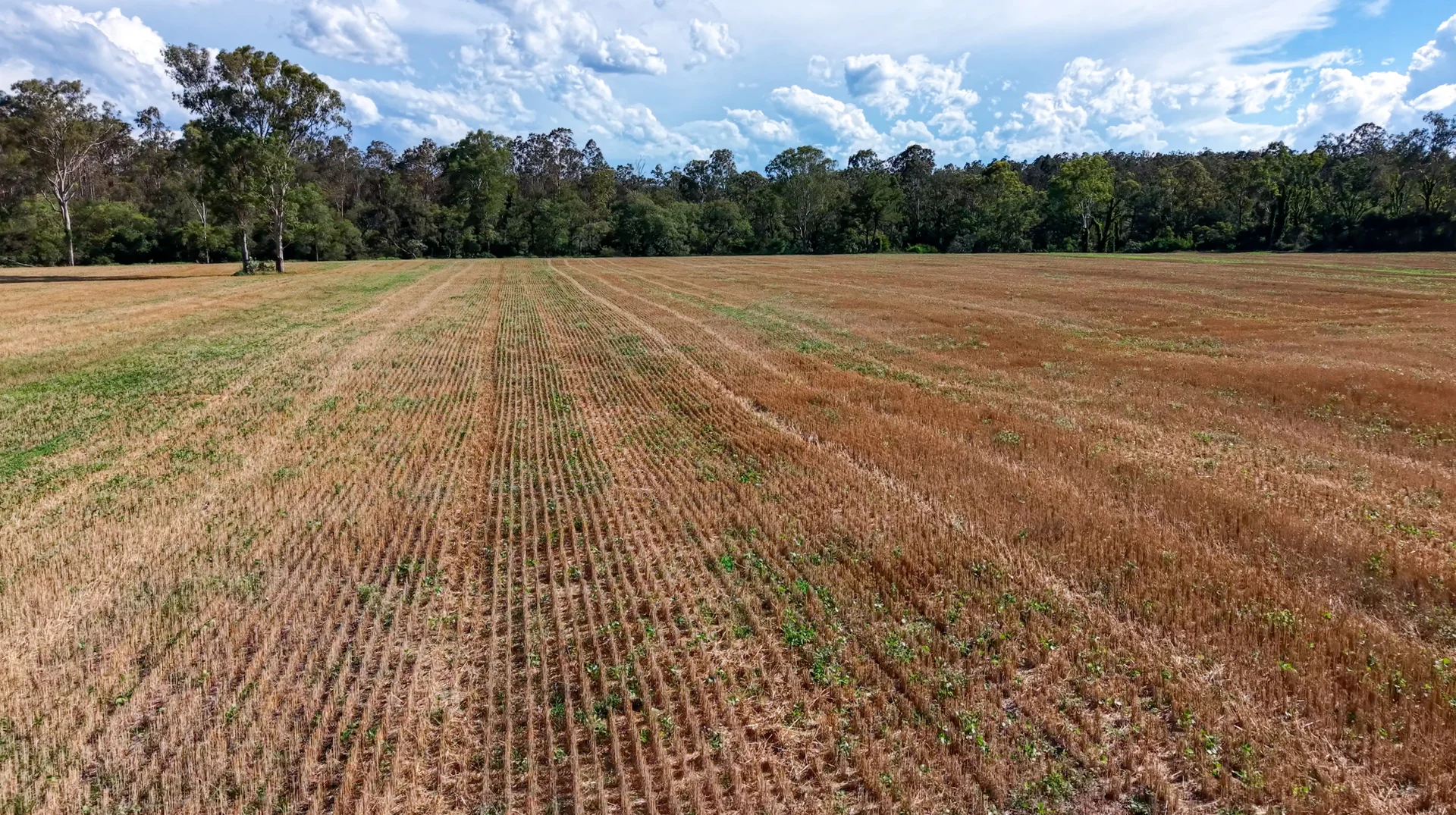 Additional image 20 of 119 Paddys Flat Road, Tabulam NSW 2469