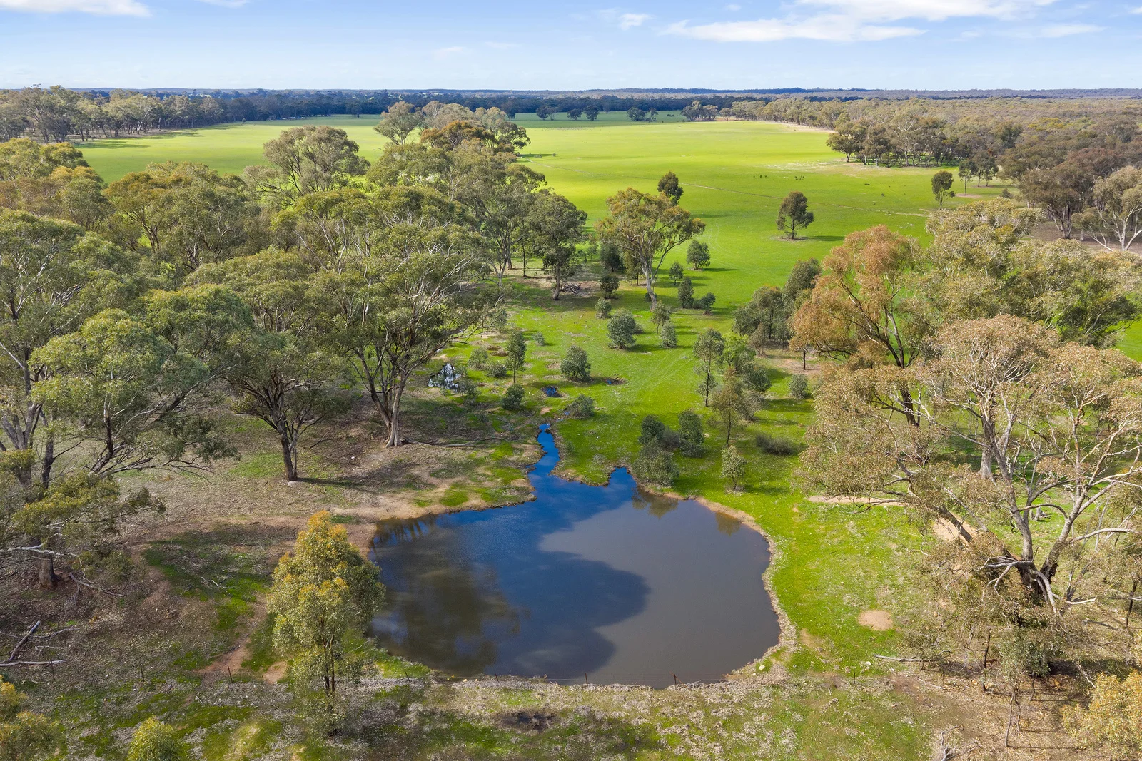 Additional image 3 of 51-53 Palmer Road, Neilborough VIC 3570