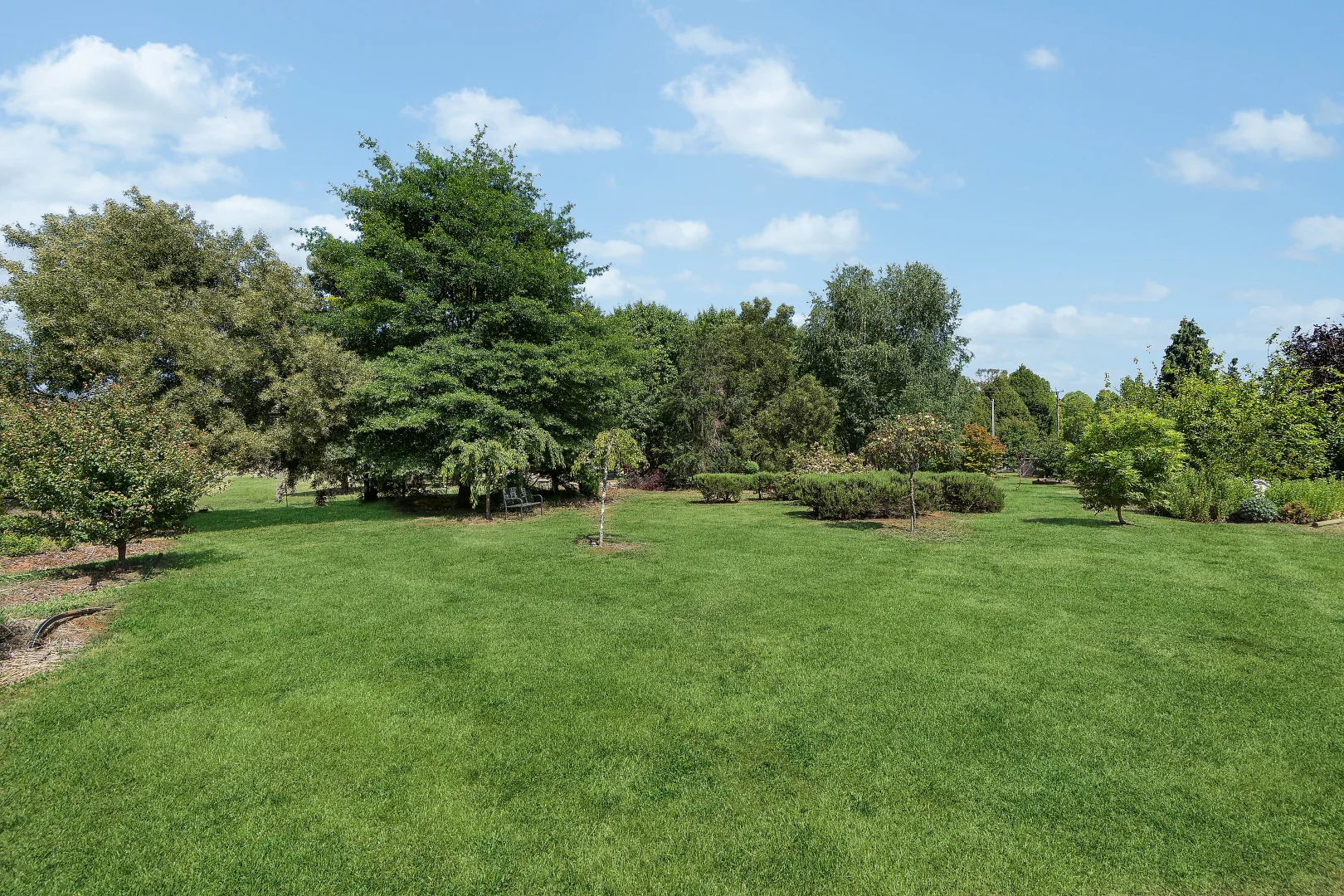 Additional image 11 of 107 Mill Road, Batlow NSW 2730