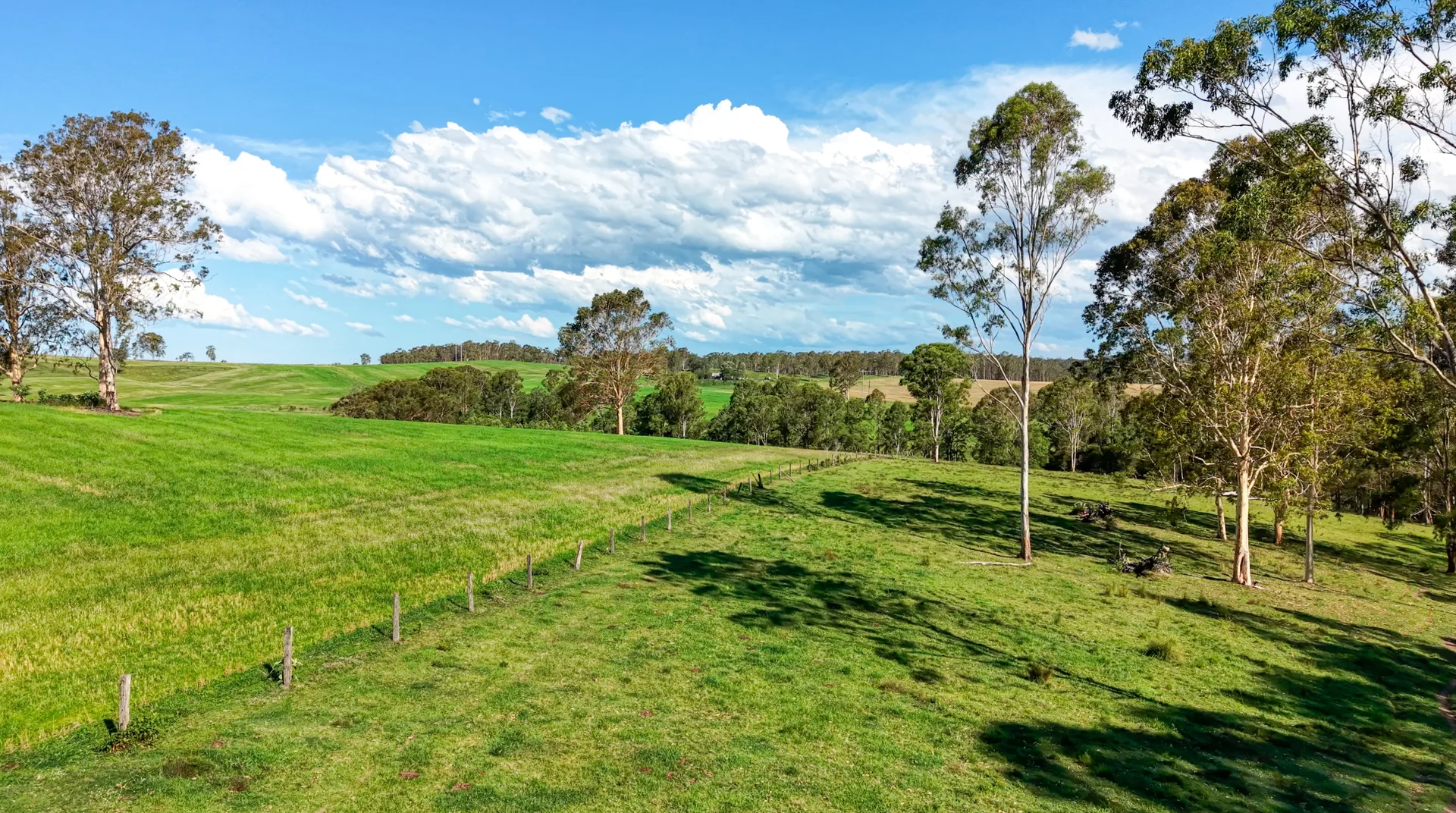 Additional image 26 of 119 Paddys Flat Road, Tabulam NSW 2469