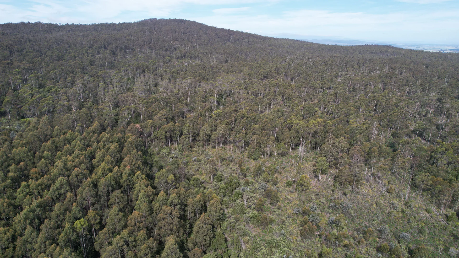 Additional image 5 of 0a Priestleys Lane, Birralee TAS 7303