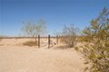 Additional image 41 of 290 Bluegrass Rd, Twentynine Palms, CA, 92277