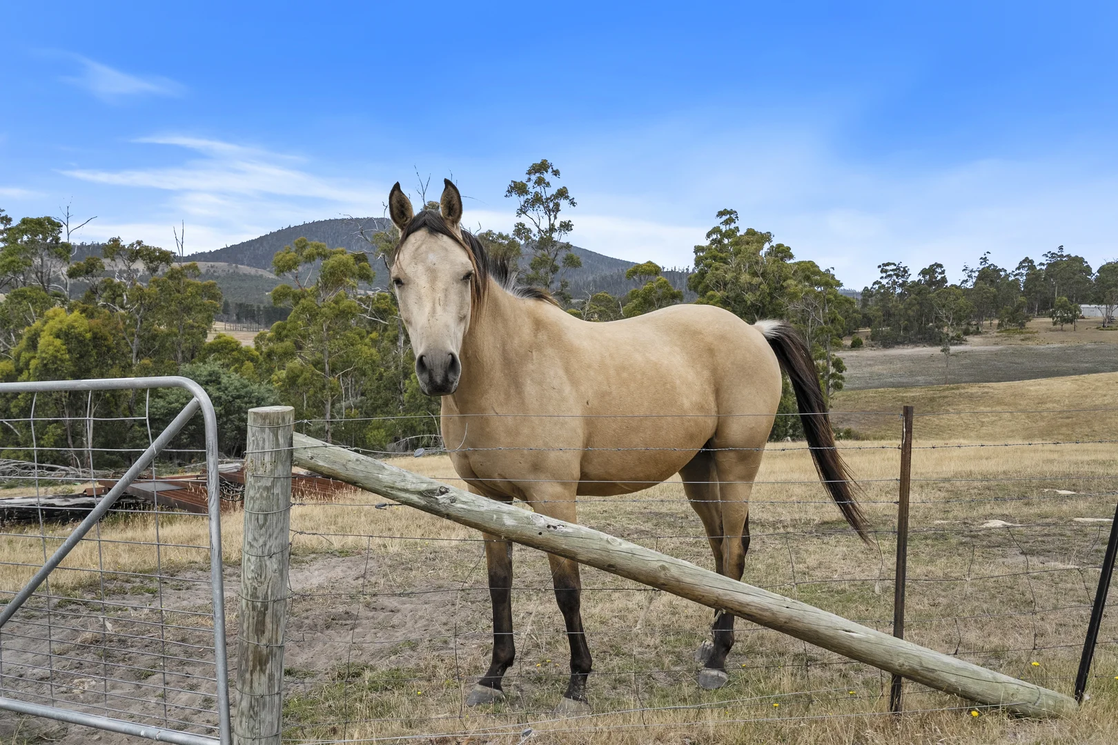 Additional image 28 of 94 Blue Hills Road, Copping TAS 7174