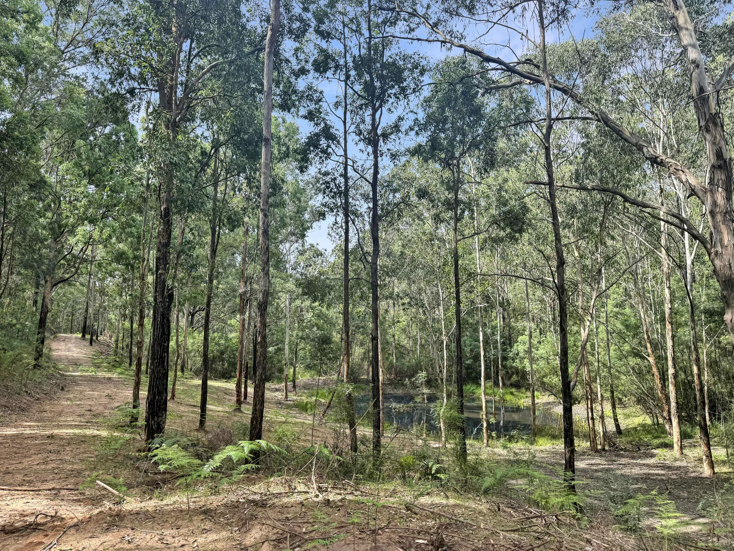 Additional image 4 of 112 Finchley Track, Laguna NSW 2325