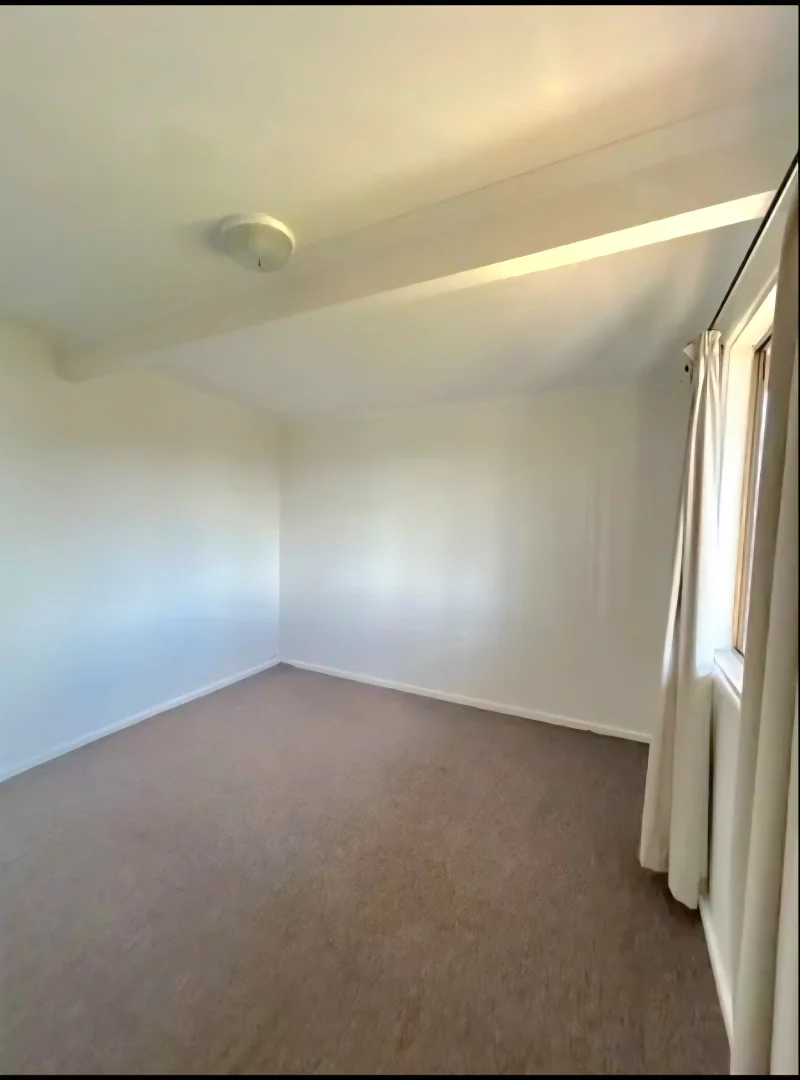Additional image 14 of 42 Queen Street, Greenhill NSW 2440