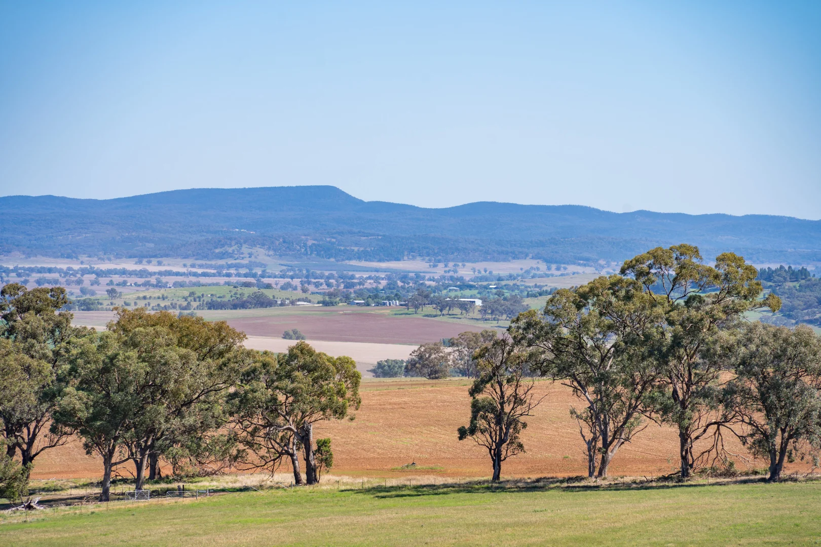 Additional image 30 of 306 Moola Road, Canowindra NSW 2804