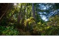 Additional image 65 of 5 Viox Way, San Rafael, CA, 94901