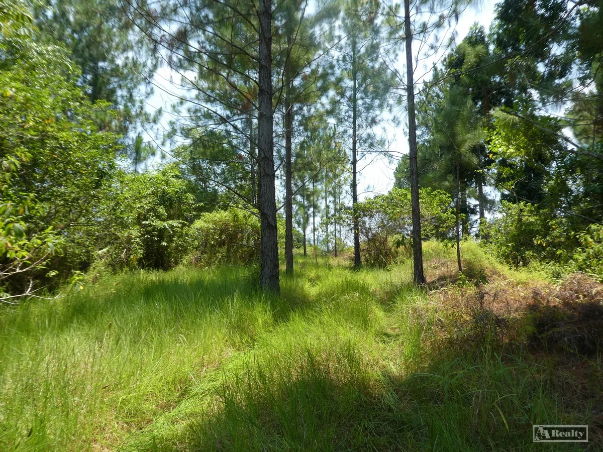 Eubenangee QLD 4860 photo 5