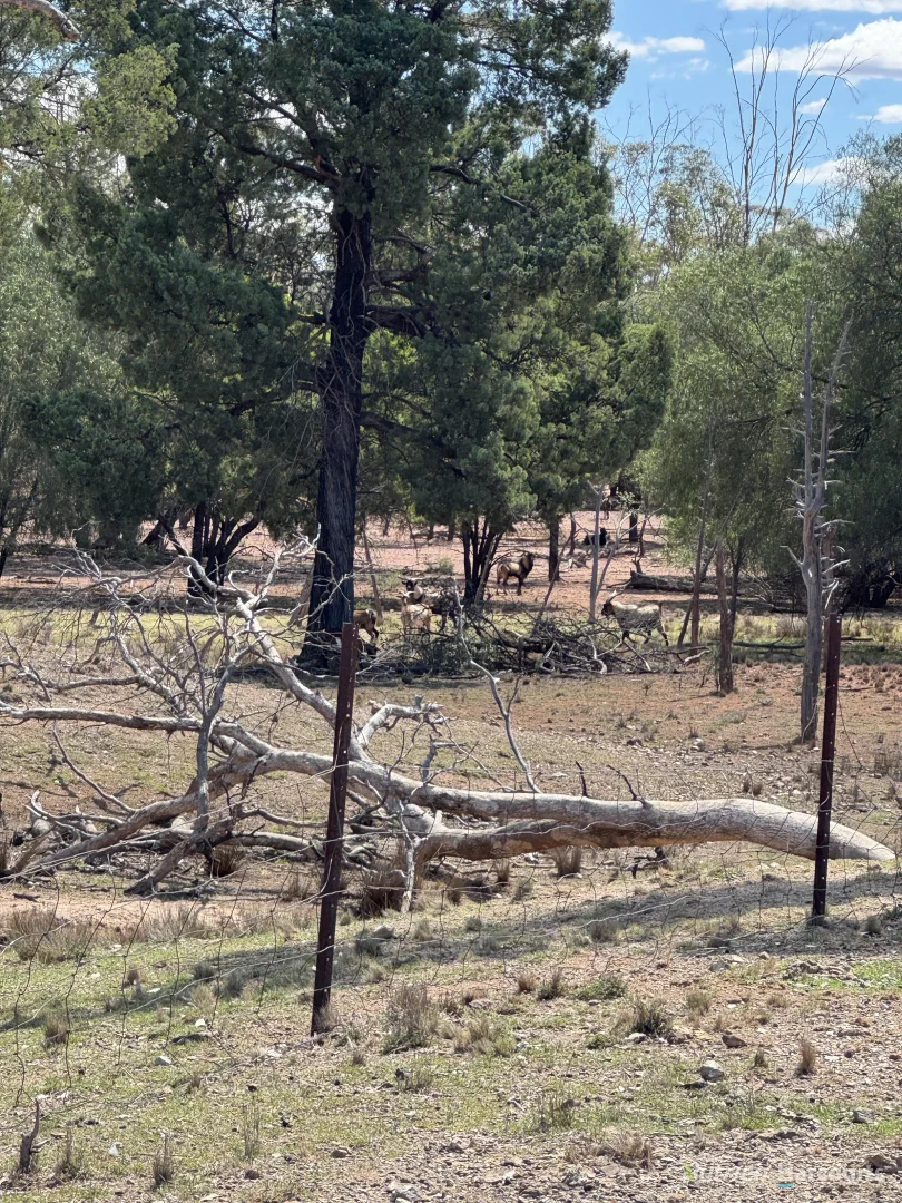 Additional image 6 of * Dutchmans Hutt, Hermidale NSW 2831