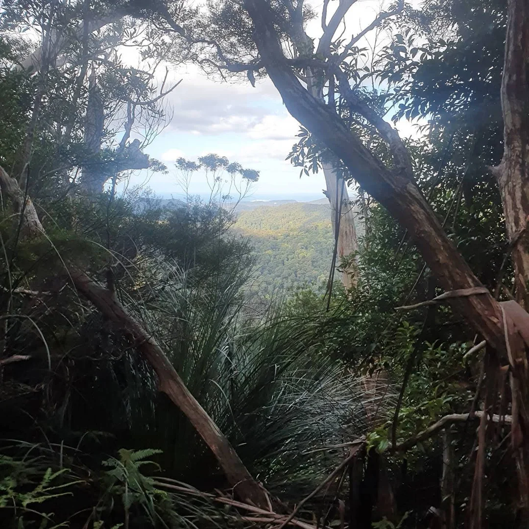 Springbrook QLD 4213 photo 2
