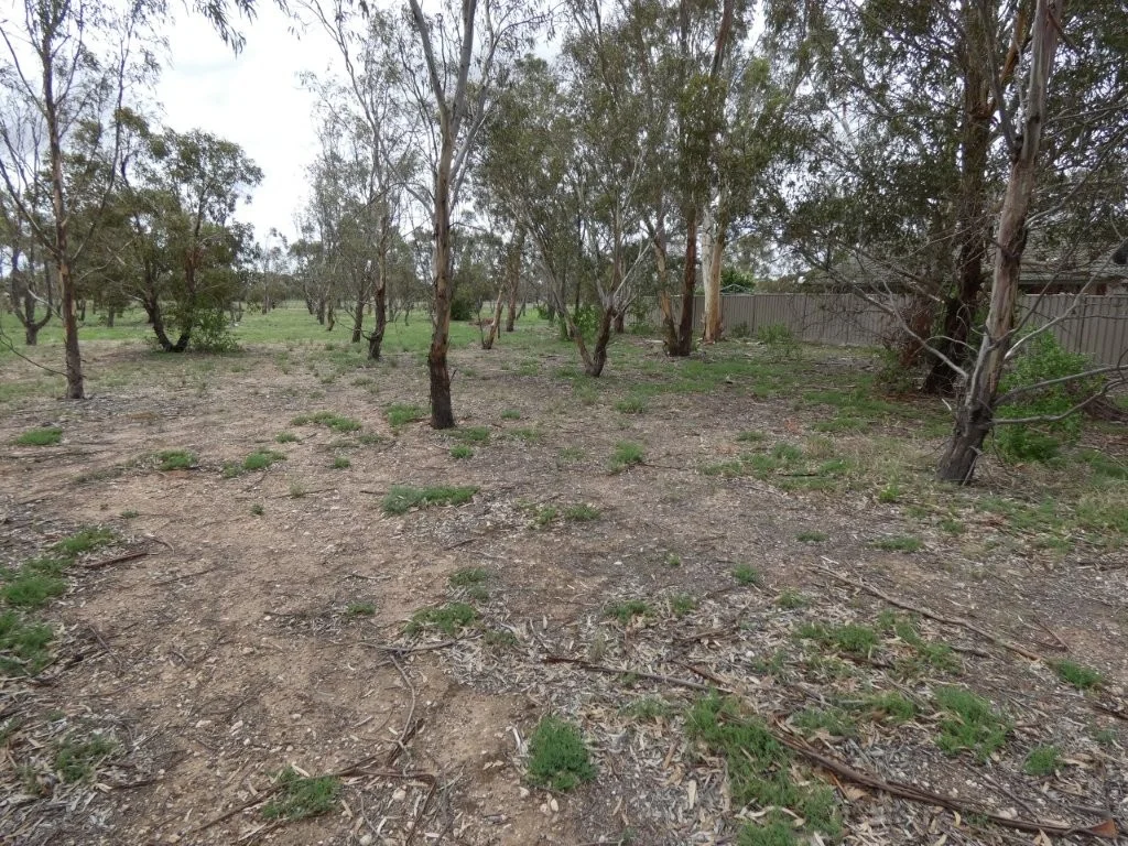 Additional image 4 of 33-35 Bell St, Beulah VIC 3395