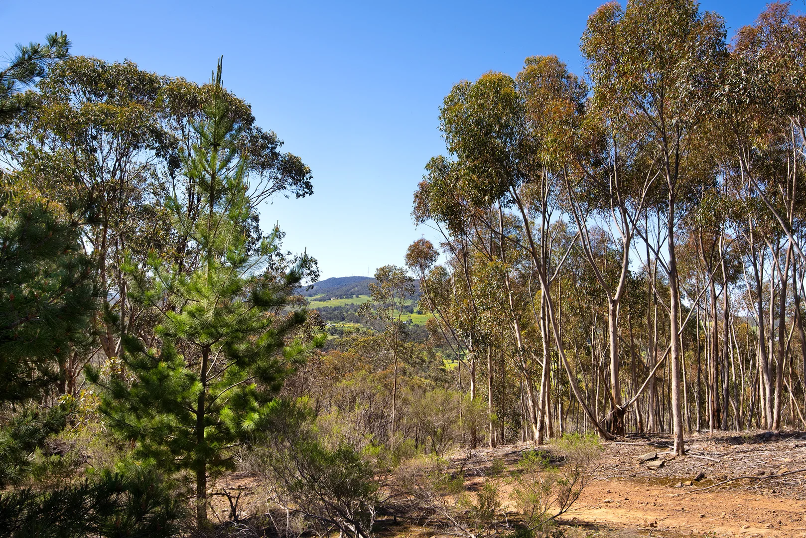 Additional image 13 of 1/128 Kennedys Lane, Faraday VIC 3451