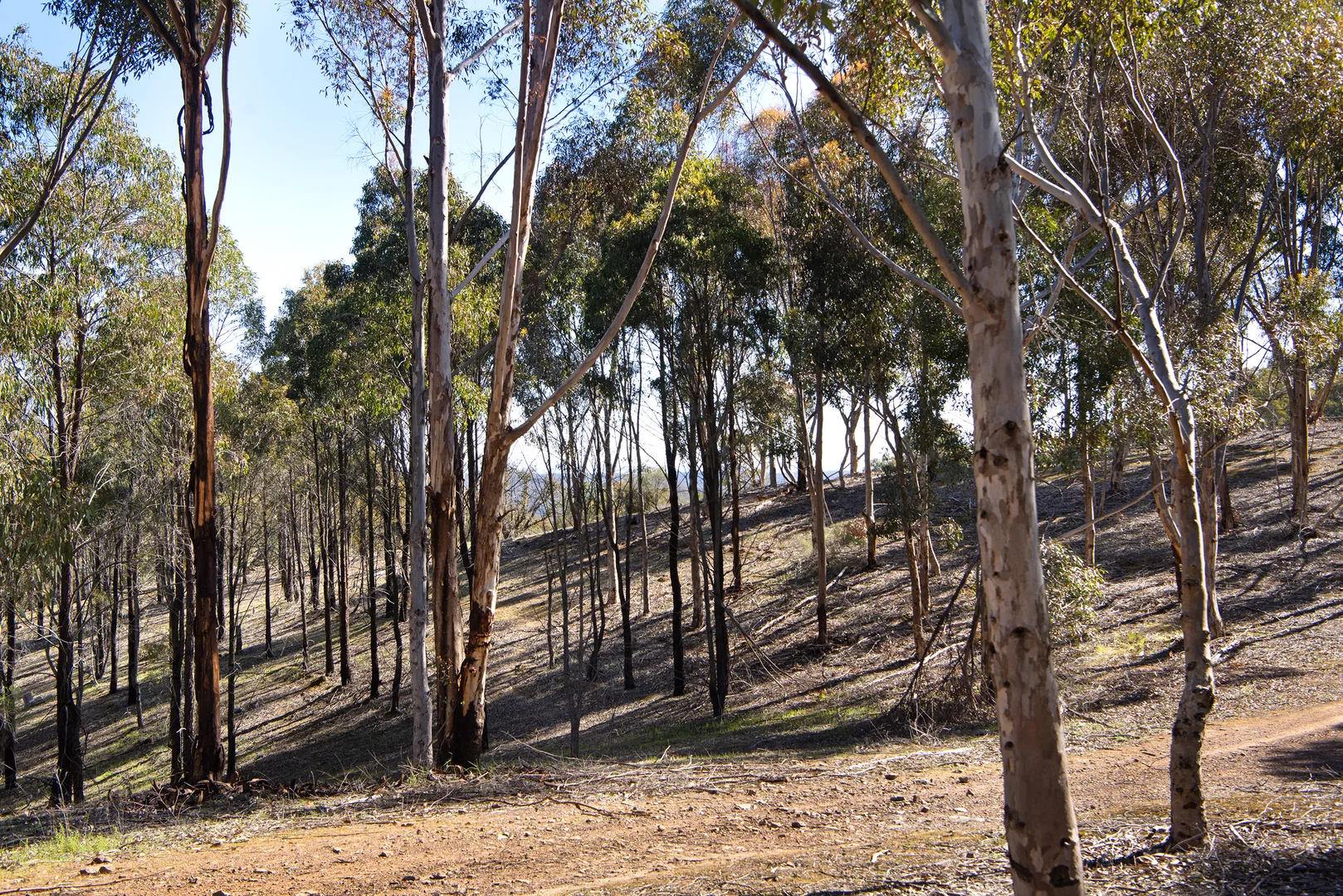 Additional image 8 of 1/128 Kennedys Lane, Faraday VIC 3451