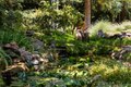 Additional image 21 of 20592 Ayers Rd, Escalon, CA, 95320