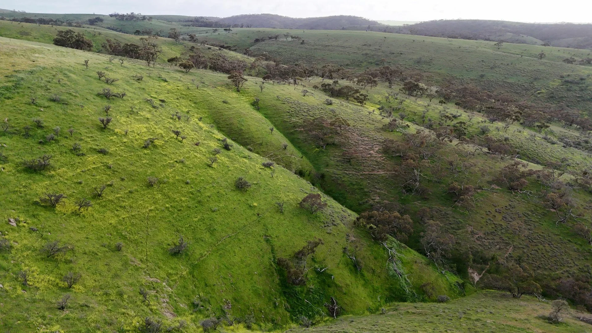 Additional image 12 of 'Crystal Valley' Talbots Road, Crystal Brook SA 5523