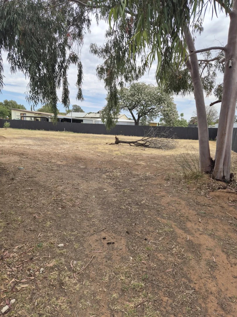 Additional image 3 of 62 Moa Street, Balranald NSW 2715