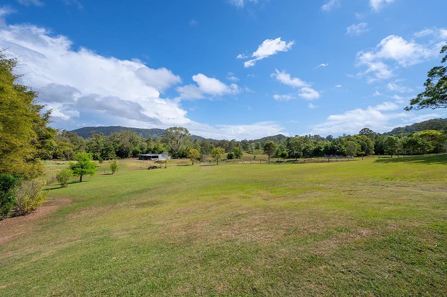 Additional image 8 of 52 Musavale Road, Eerwah Vale QLD 4562