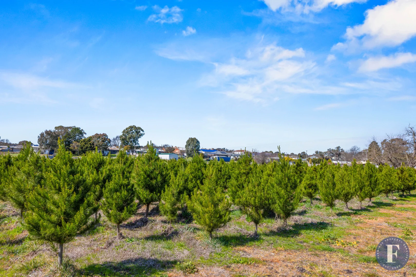 Additional image 2 of Lot 13/81 Campbell Street, Boorowa NSW 2586