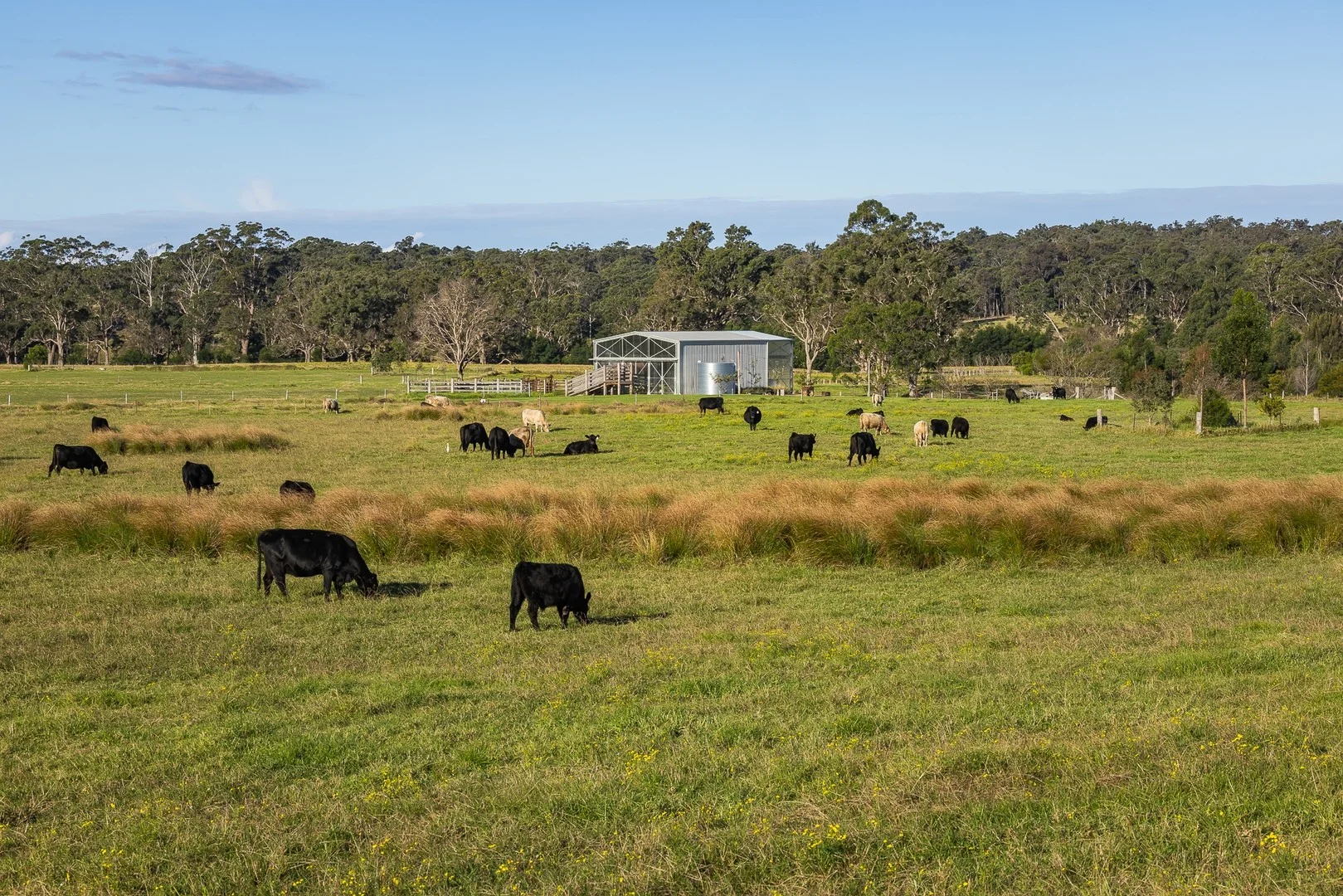 Tathra NSW 2550