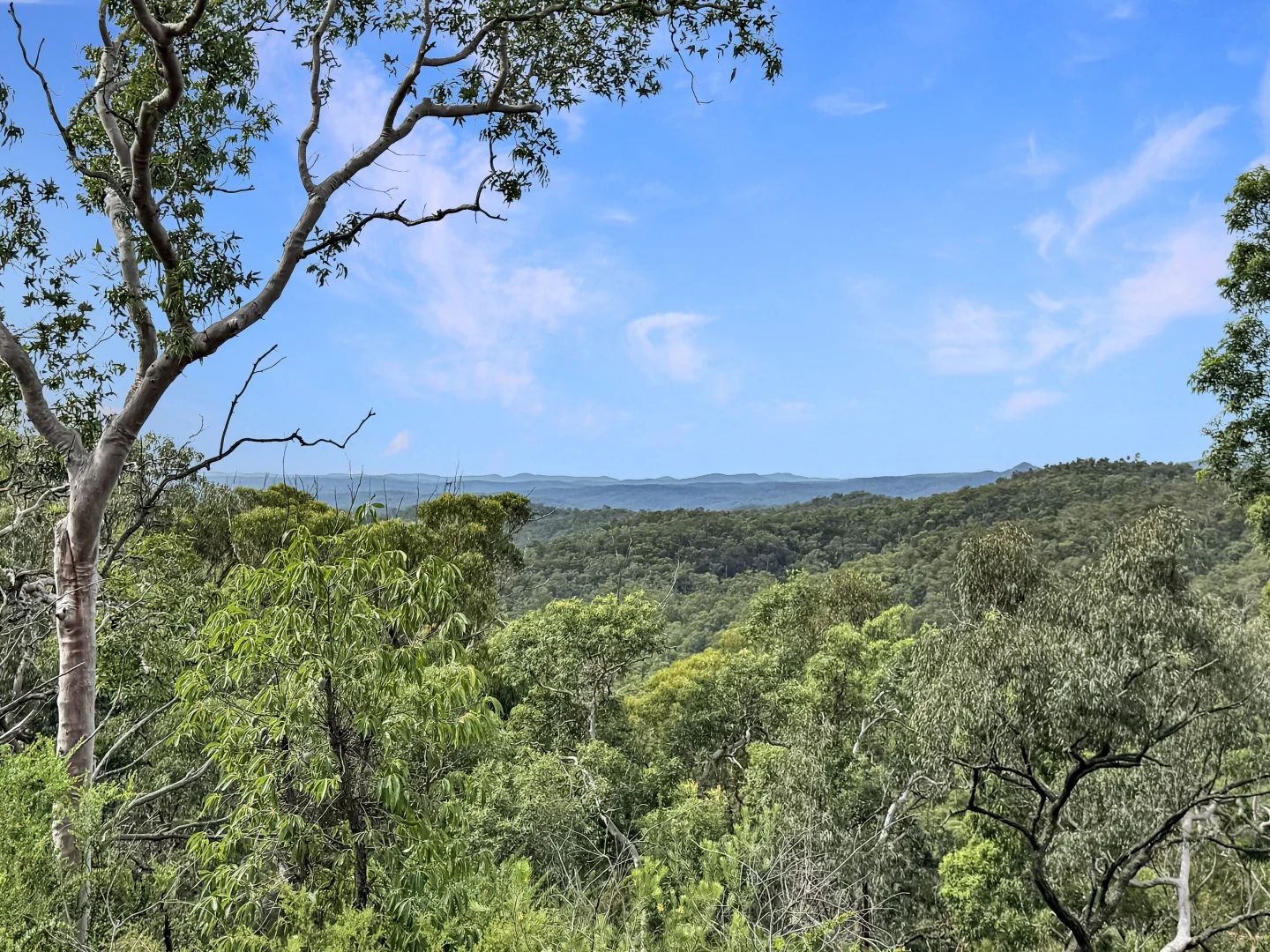 Additional image 3 of 112 Finchley Track, Laguna NSW 2325