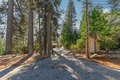 Additional image 54 of 2637 Ruth Ln, Arnold, CA, 95223