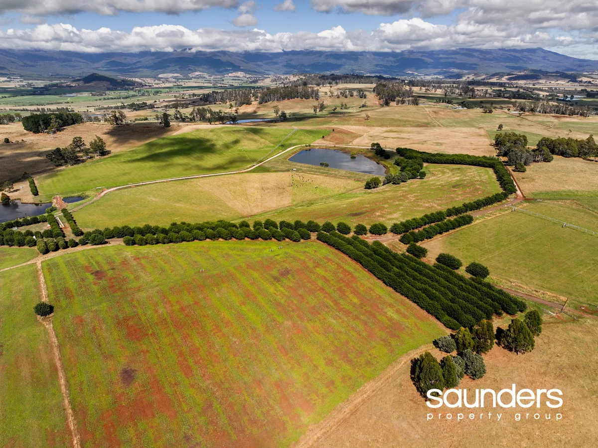 Additional image 34 of 110 Trickett Road, Needles TAS 7304