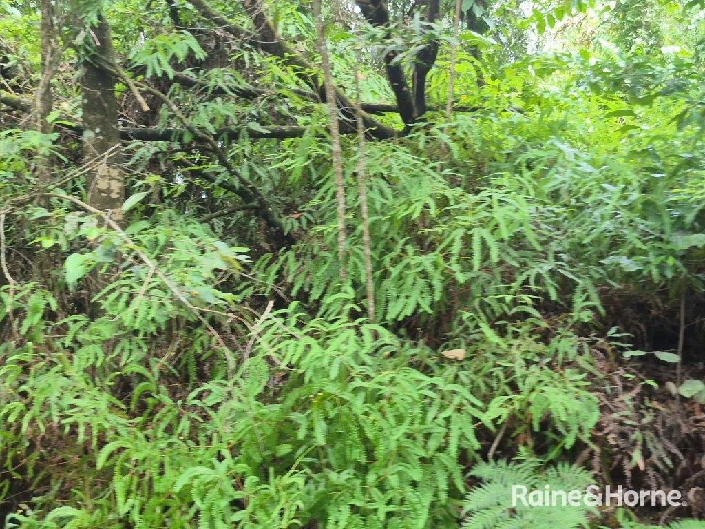 Additional image 11 of Lot 18 George Road, Forest Creek QLD 4873