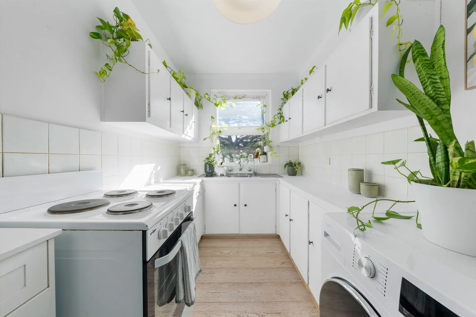 Additional image 5 of 4/7 Grainger Avenue, Ashfield NSW 2131