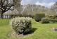 Additional image 21 of Church Road, Brightlingsea, CO7