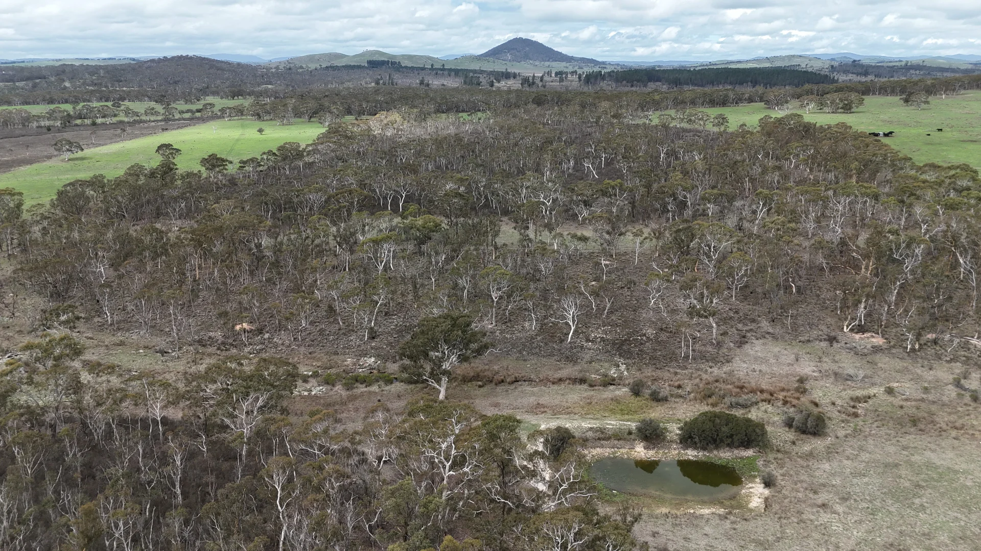 Additional image 3 of 111 Farringdon Road, Braidwood NSW 2622